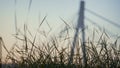 Landscape city bridge grass on foreground. Silhouette urban road tower on sunset