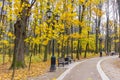 Landscape of city park in autumn day. Footpath with lanterns and benches against golden trees Royalty Free Stock Photo