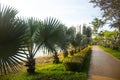 Landscape in city park with colorful sidewalk