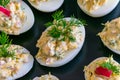 Landscape close up birds eye view of stuffed boiled eggs Royalty Free Stock Photo