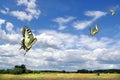 Landscape With Clouds. Blue Sky With Clouds And Field. Swallowtail Butterflies Flying In The Sky With Clouds. Butterfly Flight
