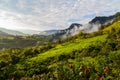 Landscape with clouds, jungles, mountains and crops Andes, Ecuador Royalty Free Stock Photo