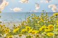 Landscape, with clouds on the shores of the Mediterranean Sea growing yellow flowers Royalty Free Stock Photo