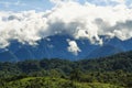 Landscape of cloudy ecuadorian cloudforest
