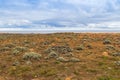 Landscape of coastal cliff at Petrified Forest Walk, Cape Bridge