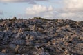 Landscape of the coastline of Sagres Royalty Free Stock Photo