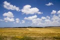 Landscape with Combine harvesting Wheat field Kfar Glikson Israel Royalty Free Stock Photo