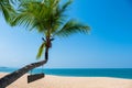 Landscape of coconut palm tree, Beautiful blue sea tropical beach. Royalty Free Stock Photo