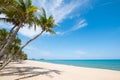 Landscape of coconut palm tree on tropical beach in summer. Royalty Free Stock Photo