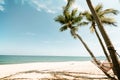 Landscape of coconut palm tree on tropical beach in summer Royalty Free Stock Photo