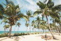 Landscape of coconut palm tree on tropical beach in summer Royalty Free Stock Photo