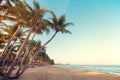 Landscape of coconut palm tree on tropical beach at sunset in summer Royalty Free Stock Photo