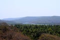 Landscape with Coconut Trees, Hills and Bridge at Distance - Anjarle, Dapoli, India Royalty Free Stock Photo