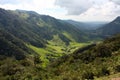 Landscape of Cocora valley, Colombia Royalty Free Stock Photo