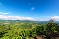 Coffee Landscape and Blue Sky