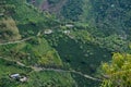 Landscape with coffee farms. Colombia