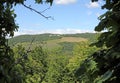 Landscape of COLLI BERICI hills in veneto in Italy