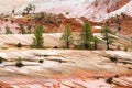 Landscape of color rocks in Zion NP Royalty Free Stock Photo