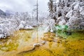 Landscape of colorful lake and trees Royalty Free Stock Photo