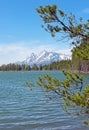 Landscape of Colter Bay, Jackson Lake, Grand Teton Royalty Free Stock Photo
