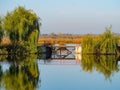 Landscape on Comana lake, in Giurgiu, Romania