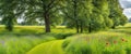 Landscape concept background beautiful meadow fields in summertime