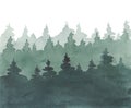 Landscape of a coniferous green forest, watercolor illustration hand-drawn. Royalty Free Stock Photo