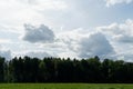 A landscape consisting of coniferous forest with a green meadow or grazing land in the foreground.