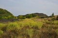 Mine heaps in green vegetation.