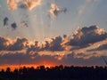 Landscape with contrasting sunrise, fuzzy, black tree silhouettes, hazy clouds, red sky