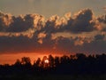 Landscape with contrasting sunrise, fuzzy, black tree silhouettes, hazy clouds, red sky Royalty Free Stock Photo