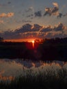 Landscape with contrasting sunrise, fuzzy, black tree silhouettes, hazy clouds, red sky Royalty Free Stock Photo