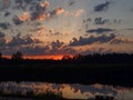 Landscape with contrasting sunrise, fuzzy, black tree silhouettes, hazy clouds, red sky