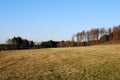 Landscape of a contryside field and forest trees, on a beautiful autumn day. Nature photography with a blue sky