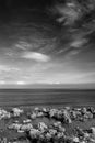 Landscape coral reef rock ocean