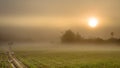 Landscape of Corn Farming Field and Sunrise in the Mist Royalty Free Stock Photo