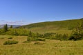 Landscape with cottaage in Rodnei mountains. Royalty Free Stock Photo