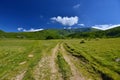 Landscape country road and mountains in Rodnei mountains. Royalty Free Stock Photo