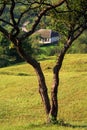 Landscape at the country side