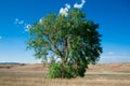 Landscape of the country side in America. America is a continent where American mainly live. The world is big enough to explore