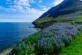 Landscape and countryside along the Eyjafjordur Royalty Free Stock Photo