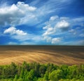 Landscape of countryside coniferous forest on background of plowed land fields and blue sky with clouds Royalty Free Stock Photo