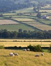 Landscape countryside hills