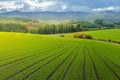 Landscape of Countryside Hills with Rice Field Farm, Forest and Royalty Free Stock Photo