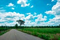 Landscape countryside road way green meadow and tree ,cloud and blue sky background . Royalty Free Stock Photo