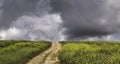 Landscape of countryside. rural road.