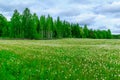 Landscape and countryside in Shouthern Savonia