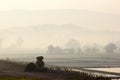 Landscape of countryside in Thailand with mist in the early morn Royalty Free Stock Photo