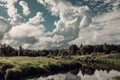 The landscape is covered with vegetation. forest quiet river