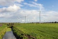 Landscape with cows grazing in the field and windmills on the background, river and blue sky Royalty Free Stock Photo
